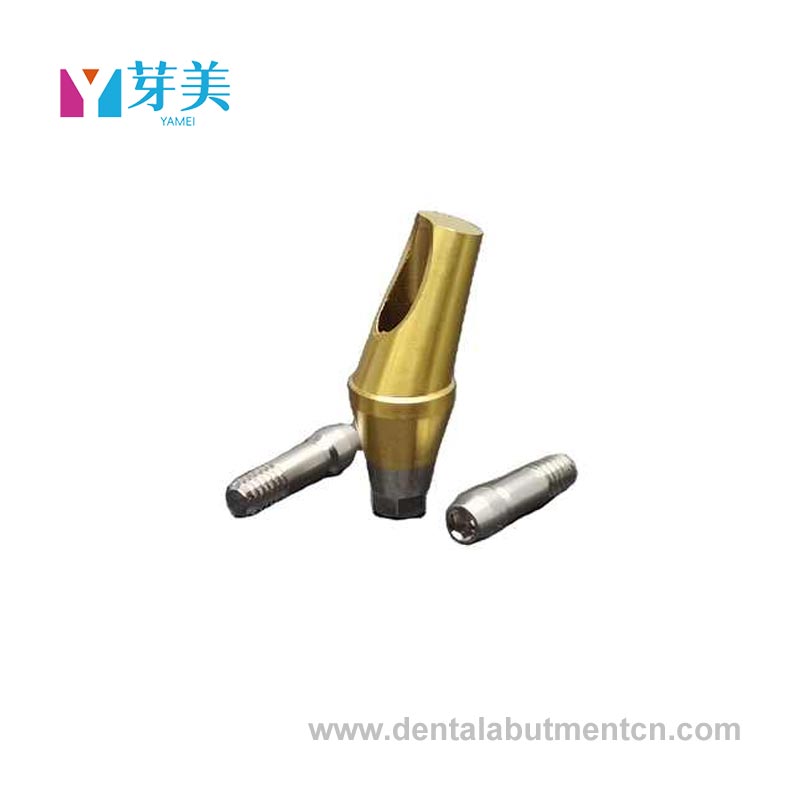 Anglos abutment